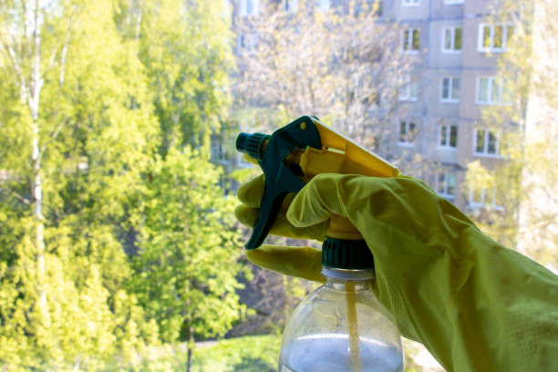 A woman's hand in yellow gloves with a spray gun washes the window . Spring cleaning, home work concept A woman's hand in yellow gloves with a spray gun washes the window . Spring cleaning, home work concept. window cleaning solution stock pictures, royalty-free photos & images