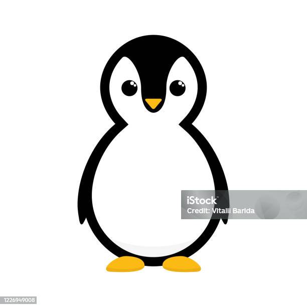 Cartoon Penguin Cute Animal Stock Illustration - Download Image Now -  Penguin, Vector, Cartoon - iStock