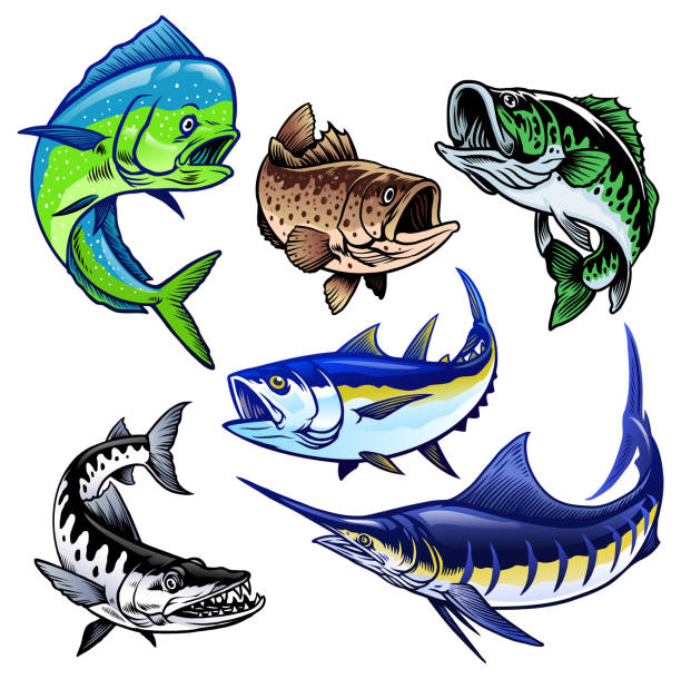 ilustraciones, imágenes clip art, dibujos animados e iconos de stock de conjunto de colección de paquetes de peces de caza - cebo ilustraciones