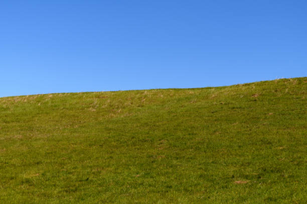 istock English countryside landscape 1226950573