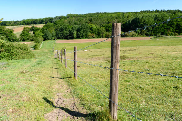 istock English countryside landscape 1226950599