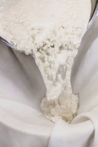 Fresh cheese making process, clotted cheese throw a cotton cloth, closeup, homemade cottage cheese or paneer