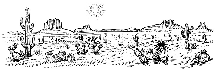 Desert panorama landscape, vector illustration. Hand drawn black and white desert with cactuses and rocks. Arizona line sketch.