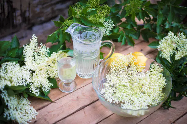 Homemade refreshing elderflower lemonade