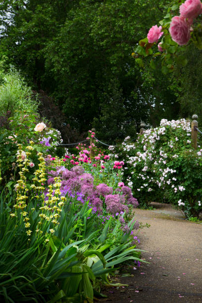 istock Spring in English Garden; London Hyde Park 1226951913