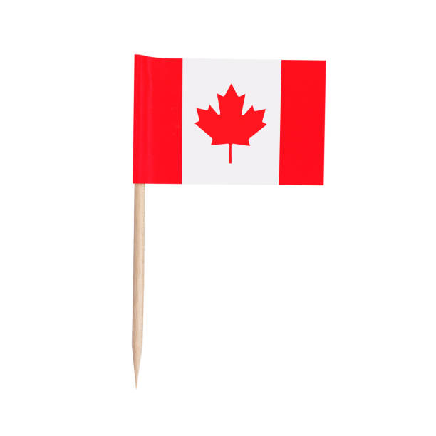 istock Miniature Flag Canada. Isolated toothpick flag from Canada on white background 1226952494