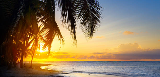 istock Art Beautiful sunset over the tropical beach 1226952594