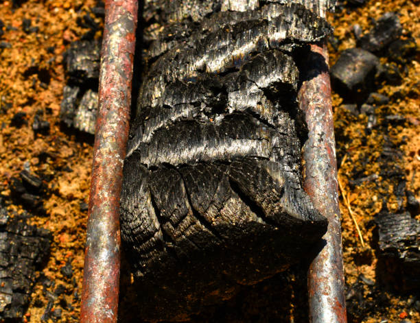 istock Charred and Weathered Wood 1226955198