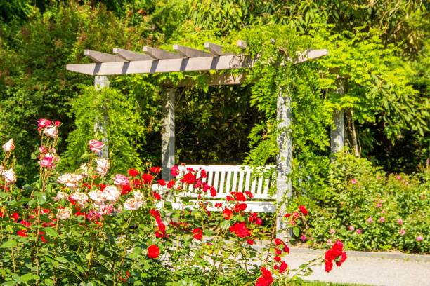 istock Bench in the Rose Garden 1226958163