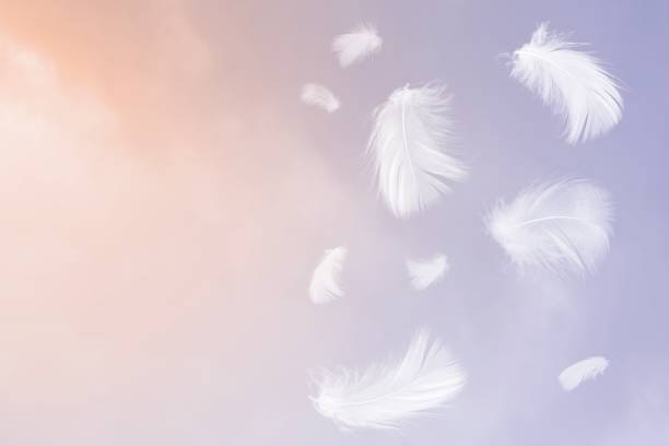 istock White feathers floating in the sky with sunlight 1226958548