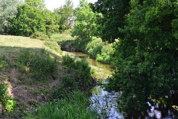 istock River Mole in May in Horley in Surrey. 1226959371