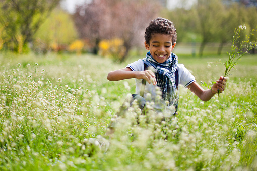 Handsome little black boy collecting a bunch of fresh flowers in the park in springtime.
