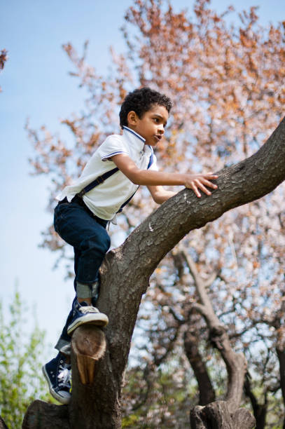 istock Little cute real black boy climbing on tree. 1226960129