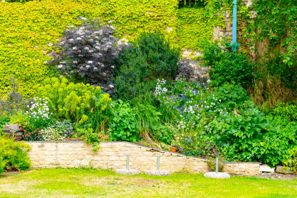 istock Garden beside the Oxford Gaol 1226960301