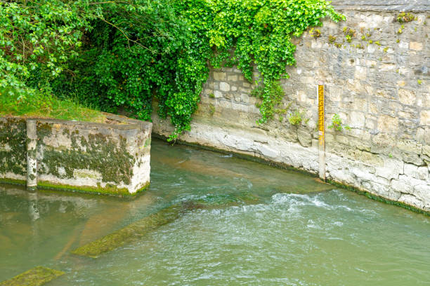 The wall of Oxford Gaol with a heron in the river underneath.
