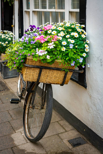 Flowers in a bicycle basket outside a house in Oxford,UK.