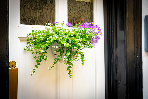 Flowers on a door outside a house in Oxford,UK.