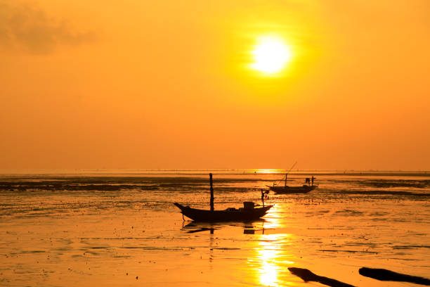 istock Beautiful sunrise silhuette 1226961903