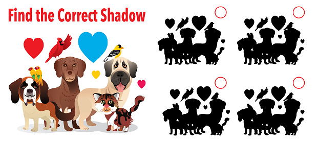 Vector Find the correct shadows, Cat, Dog and birds