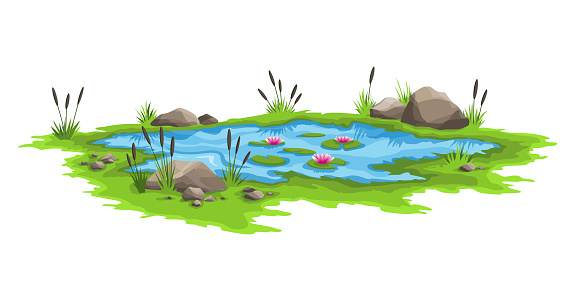 Blue water pond with reeds and stones around. Natural pond outdoor scene. Concept of open small swamp lake in natural landscape style. Graphic design for spring season.