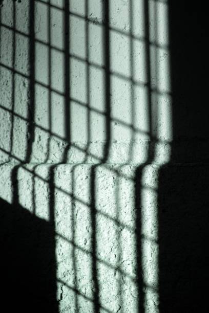 istock Beautiful and unique lines abstract background 1226967209