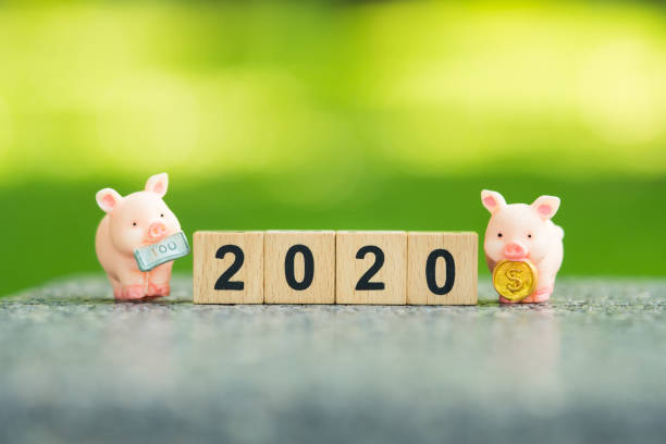istock Closeup Piggy Bank standing with 2020 1226968219