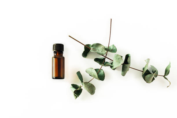 istock Photo on aromatherapy and mental health. 1226968268