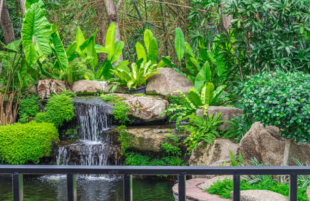 istock beautiful small waterfall, naturally built, surrounded by trees in moist forests and red wildflowers, in the midst of bright sunlight. 1226968485