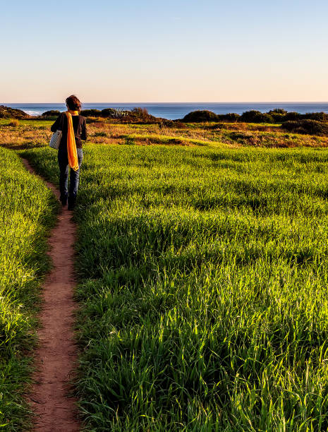 istock A solitary woman walks along green wheat fields at sunset. 1226975984