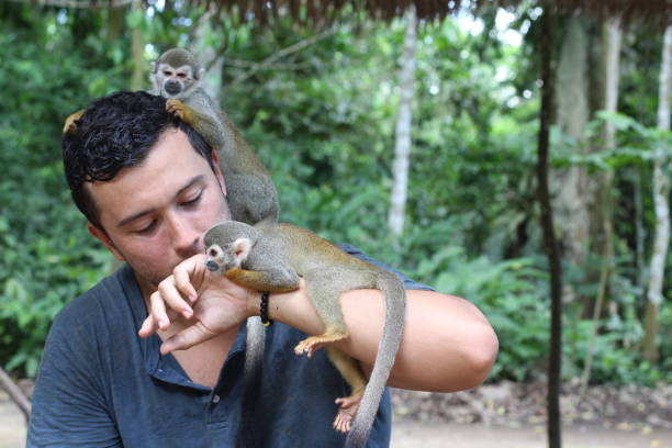 istock Man with a group of wild monkeys 1226976132