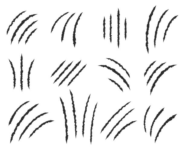 Claws scratches vector set Claws scratches vector set claw scratch stock illustrations
