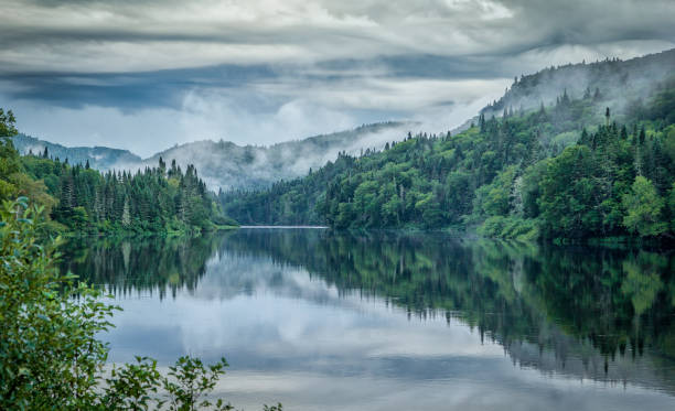 Park at Jacques Cartier in Quebec. Jacques Cartier Park in Quebec's boreal forest. boreal forest stock pictures, royalty-free photos & images