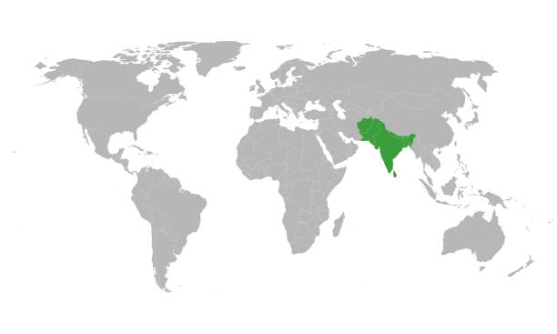 karte der südasiatischen assoziation für regionale zusammenarbeit. - india map sri lanka pakistan stock-grafiken, -clipart, -cartoons und -symbole