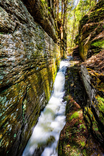 istock Scenic Silverthread falls of Dingmans ferry in spring 1226982074