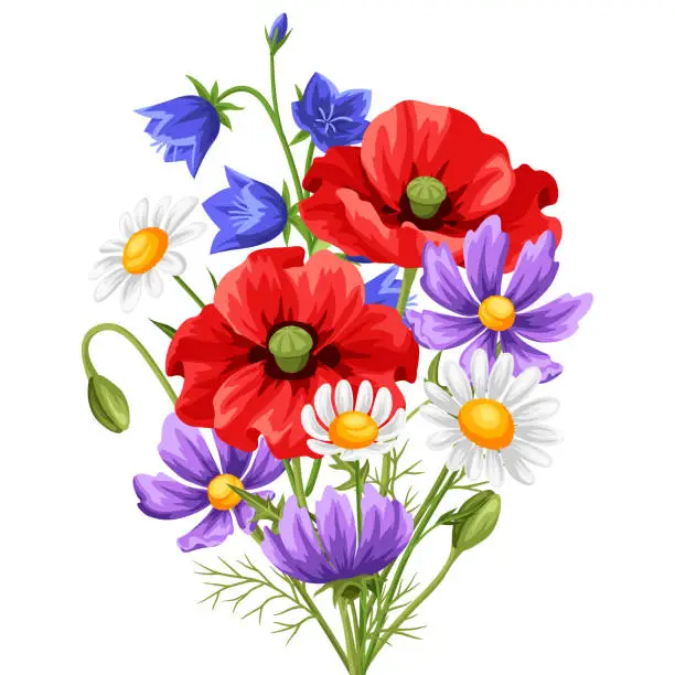 Vector illustration of Bouquet with summer flowers.