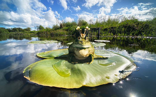 idyllic Irish river scene with frog prince