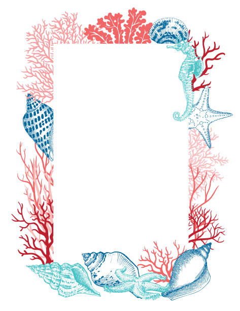 illustrations, cliparts, dessins animés et icônes de coraux et coquillages - etching starfish engraving engraved image
