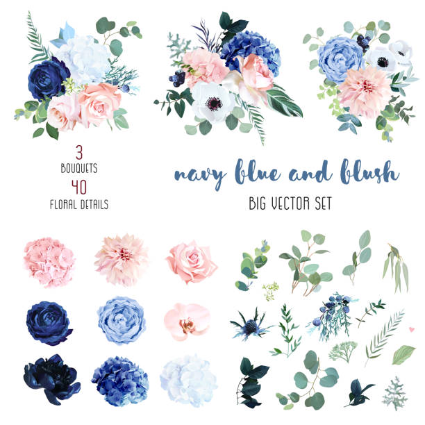 Classic navy blue, white, blush pink rose, hydrangea, ranunculus, orchid Classic navy blue, white, blush pink rose, hydrangea, ranunculus, orchid, dahlia, anemone, peony, thistle flowers, greenery and eucalyptus big vector set.Trendy color collection. Isolated and editable blue flowers stock illustrations