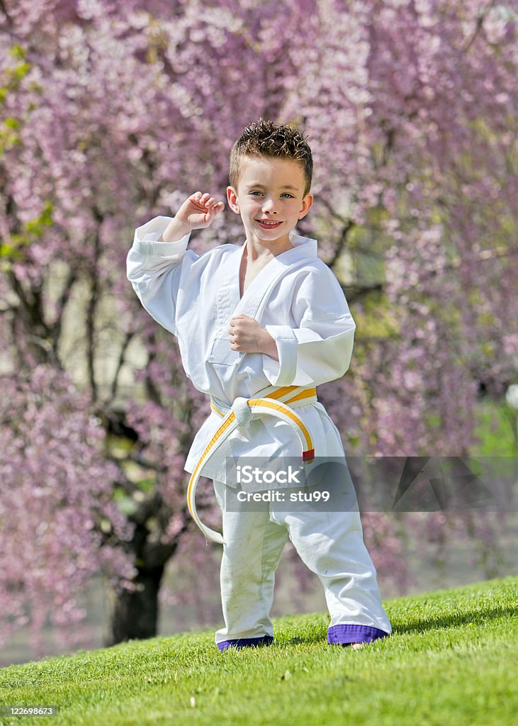 Karate crianças - Foto de stock de Aiquidô royalty-free