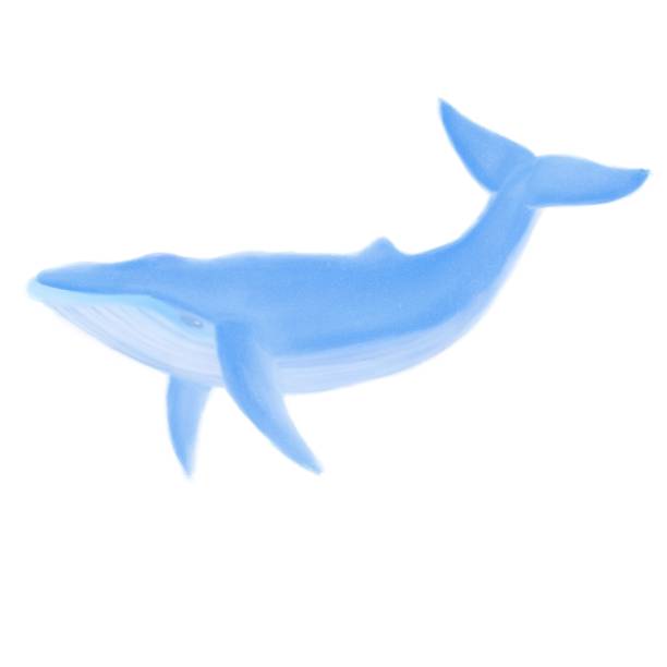 istock Isolated digital illustration. Humpback blue whale on white background. Stock image. Stock image. 1226986978