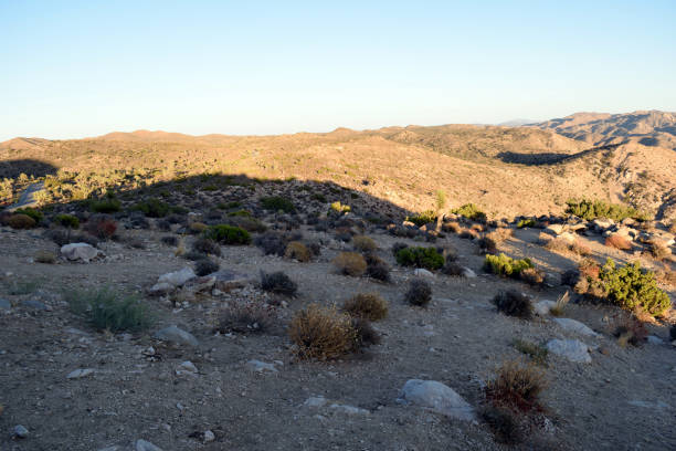 istock Golden Hour in the SoCal Desert 1226989846