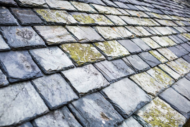istock Old roof slates 1226991174