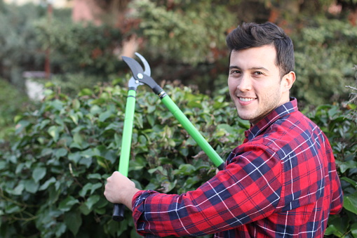 Young man gardening with clippers.