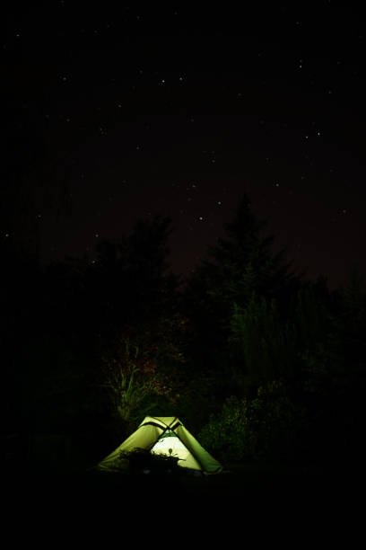istock Illuminated green camping tent under star sky with  fir tree in background 1226991214