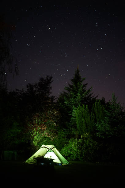 istock Illuminated green camping tent under star sky with  fir tree in background 1226991286