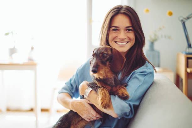 1.100+ Basset Basset Alemão Fotos fotos de stock, imagens e fotos