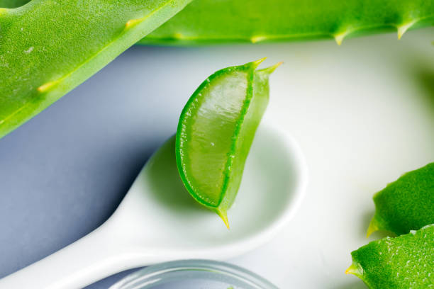 istock Natural organic aloe vera slices in a ceramic spoon on a light grey background. 1226992582