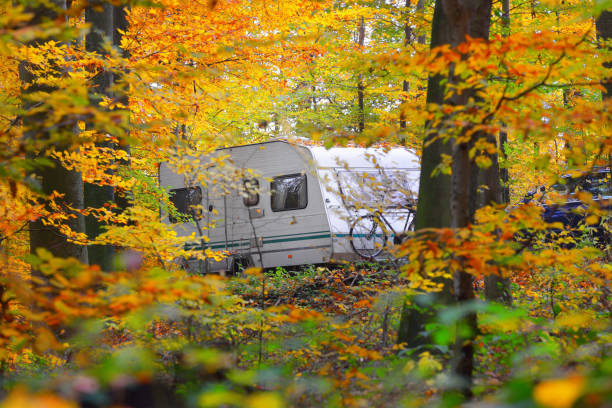 caravan trailer with a bicycle and a car parked in a golden beech tree forest. colorful red, orange and yellow leaves on the ground. autumn landscape. leisure activity in heidelberg, germany - auto mobile imagens e fotografias de stock