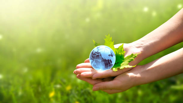 istock Environment Day concept. Earth globe in human hand on grass background. Saving environment, save clean green planet, ecology theme. Card for World Earth Day. 1226993967