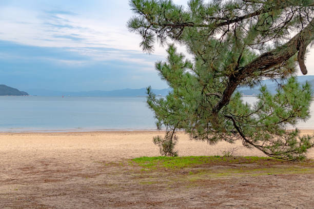 istock Kehi in Matsubara 1226994011